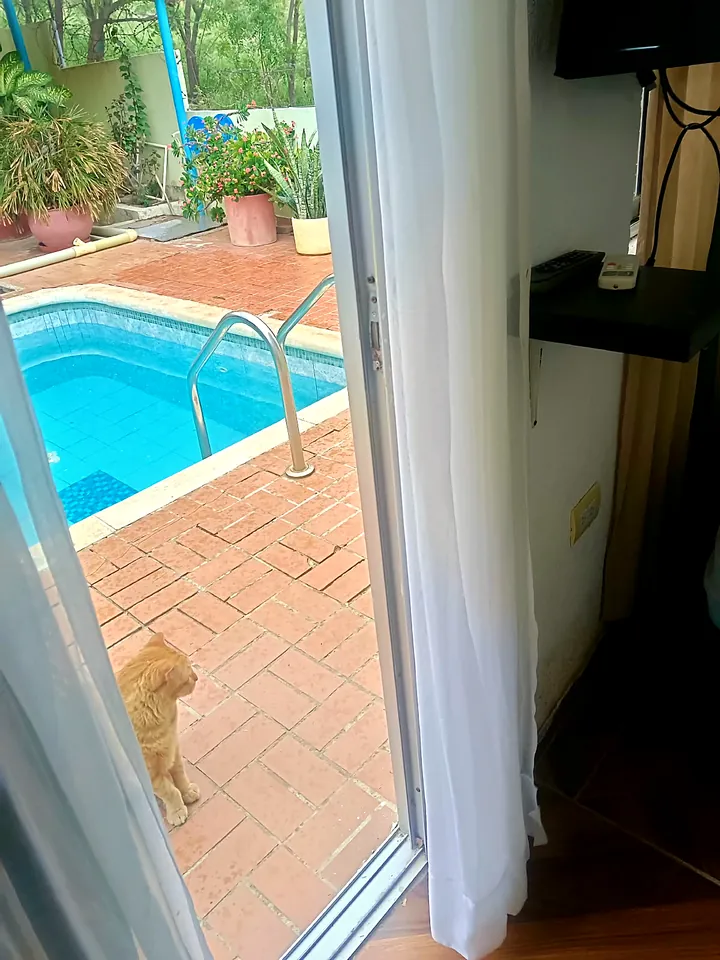 De la habitación a la piscina